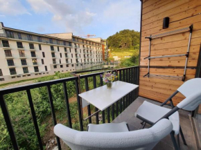 Perfect studio near Didveli ski area, Bakuriani